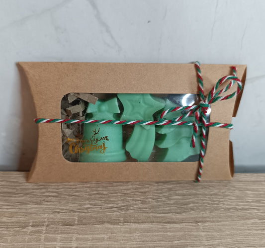 Mini Christmas gift!